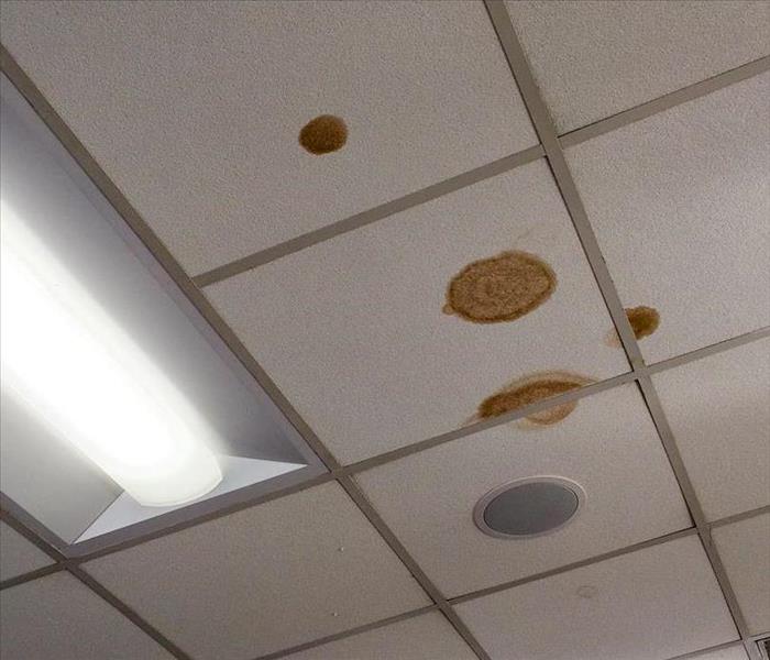 water damaged and stained office ceiling tiles