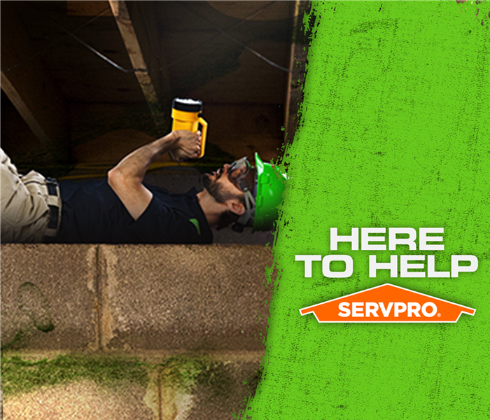SERVPROA SERVPRO  tech laying on his back in a crawlspace holding a flashlight. 