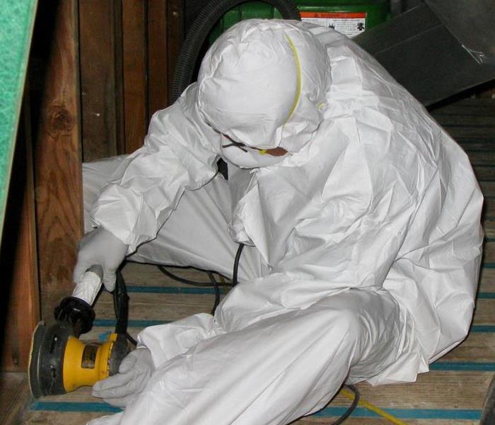 Mold cleanup technician at work
