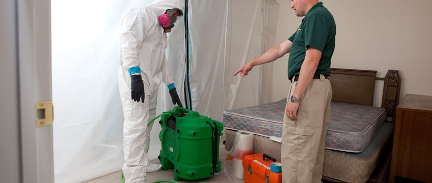 El Centro, CA mold removal process